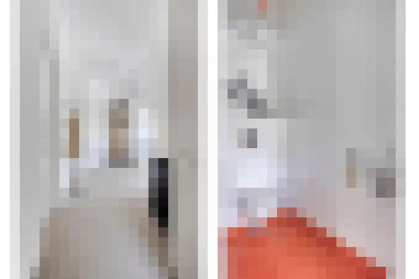 Snelleloop 1 Heesch thumbnail 67