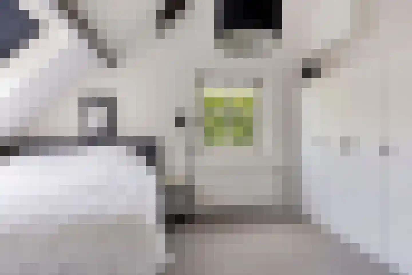 Snelleloop 1 Heesch thumbnail 68