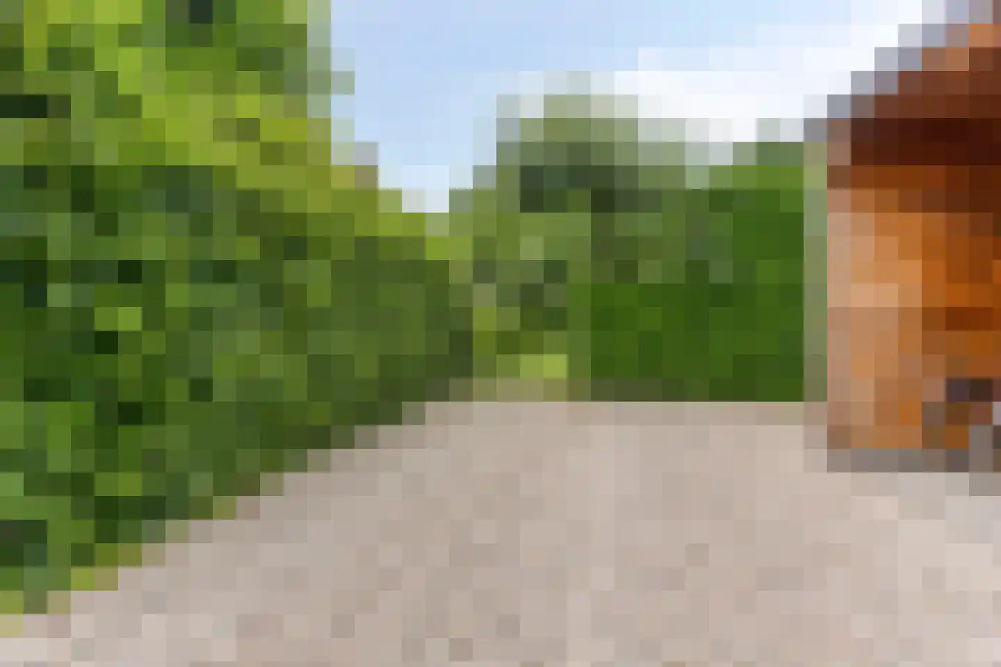 Snelleloop 1 Heesch thumbnail 7