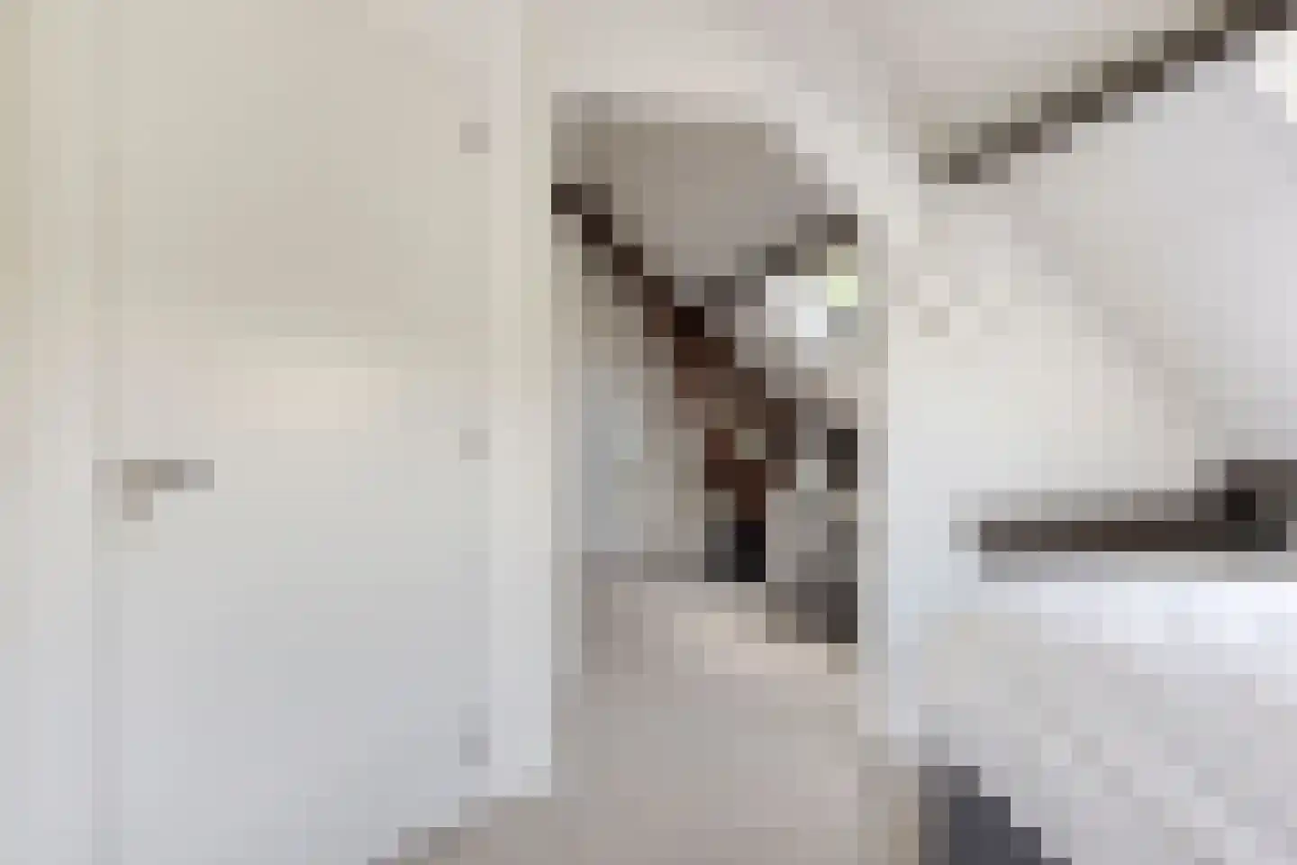 Snelleloop 1 Heesch thumbnail 70