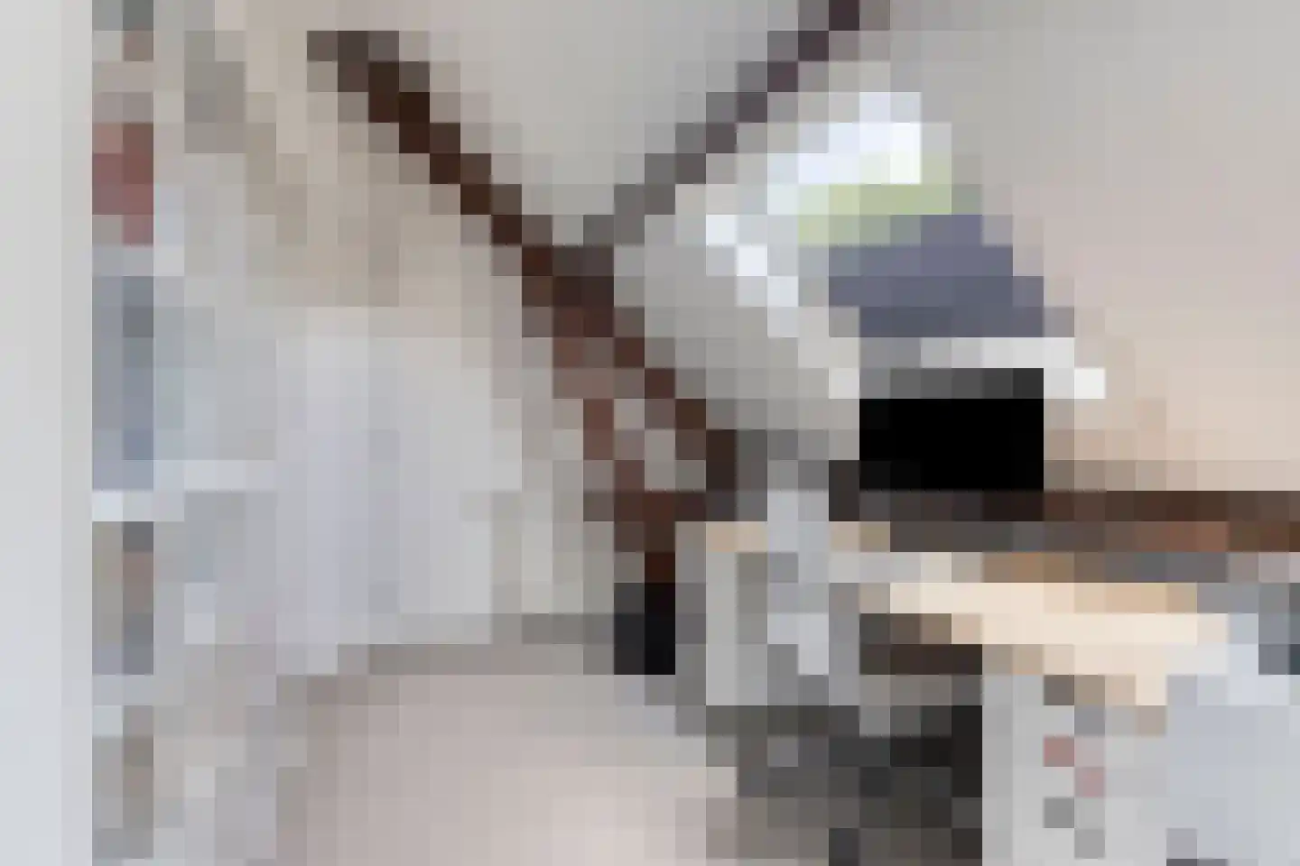Snelleloop 1 Heesch thumbnail 71