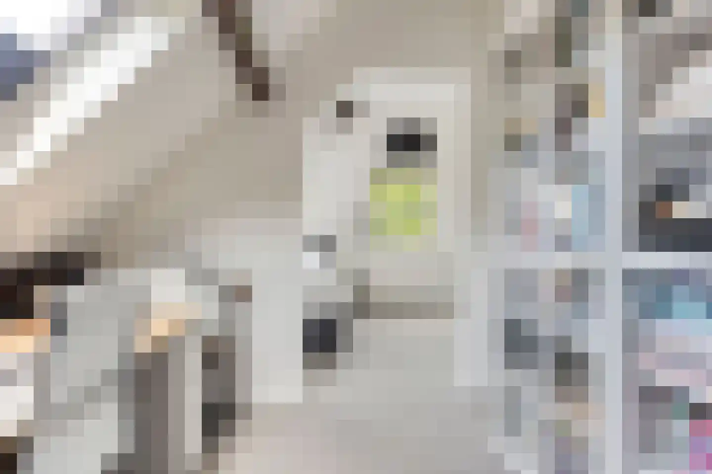 Snelleloop 1 Heesch thumbnail 72