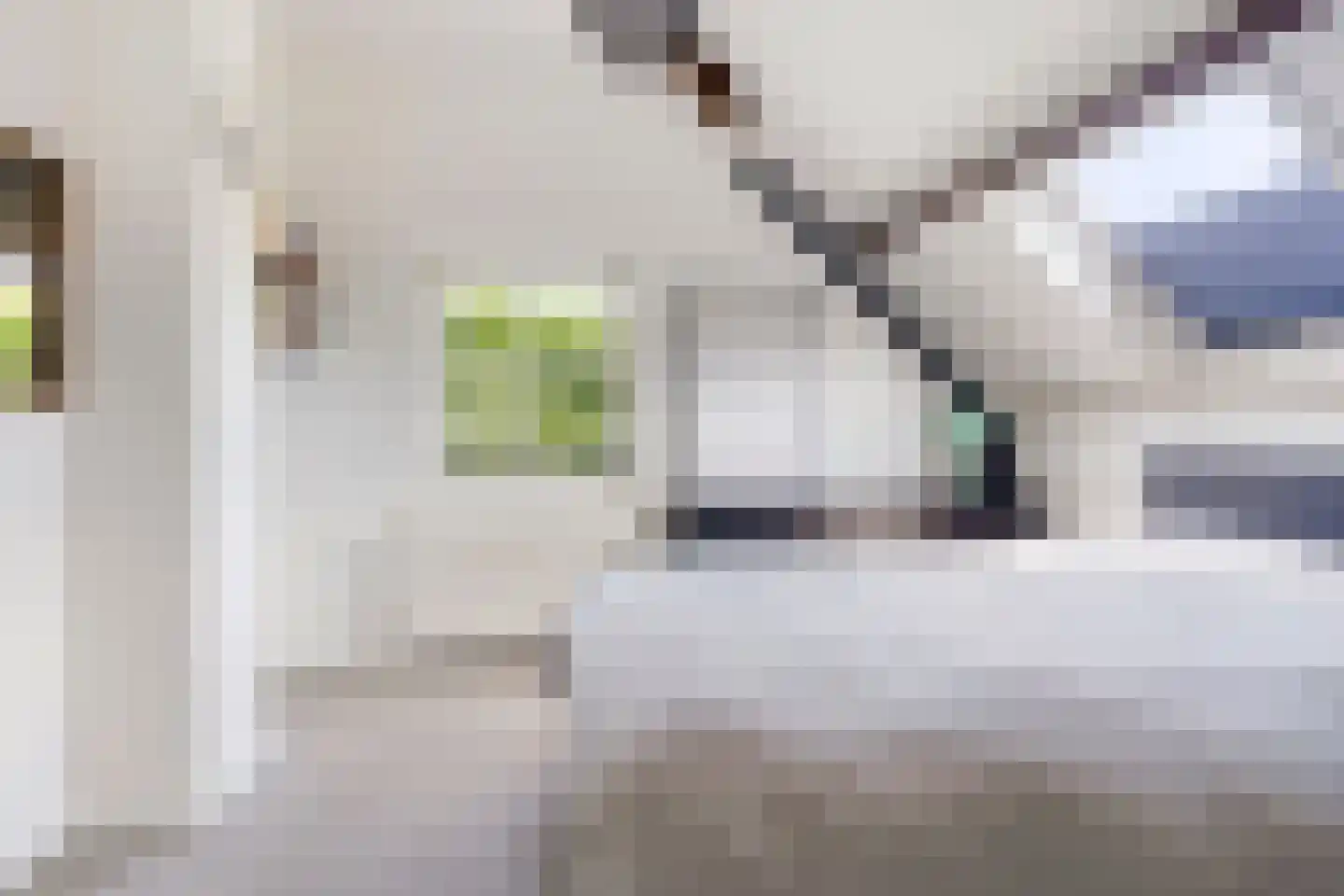 Snelleloop 1 Heesch thumbnail 77