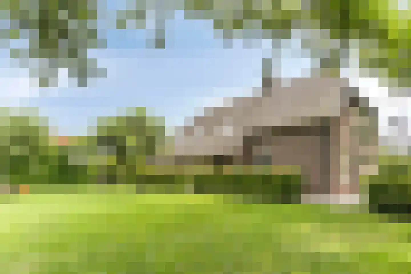 Snelleloop 1 Heesch thumbnail 8