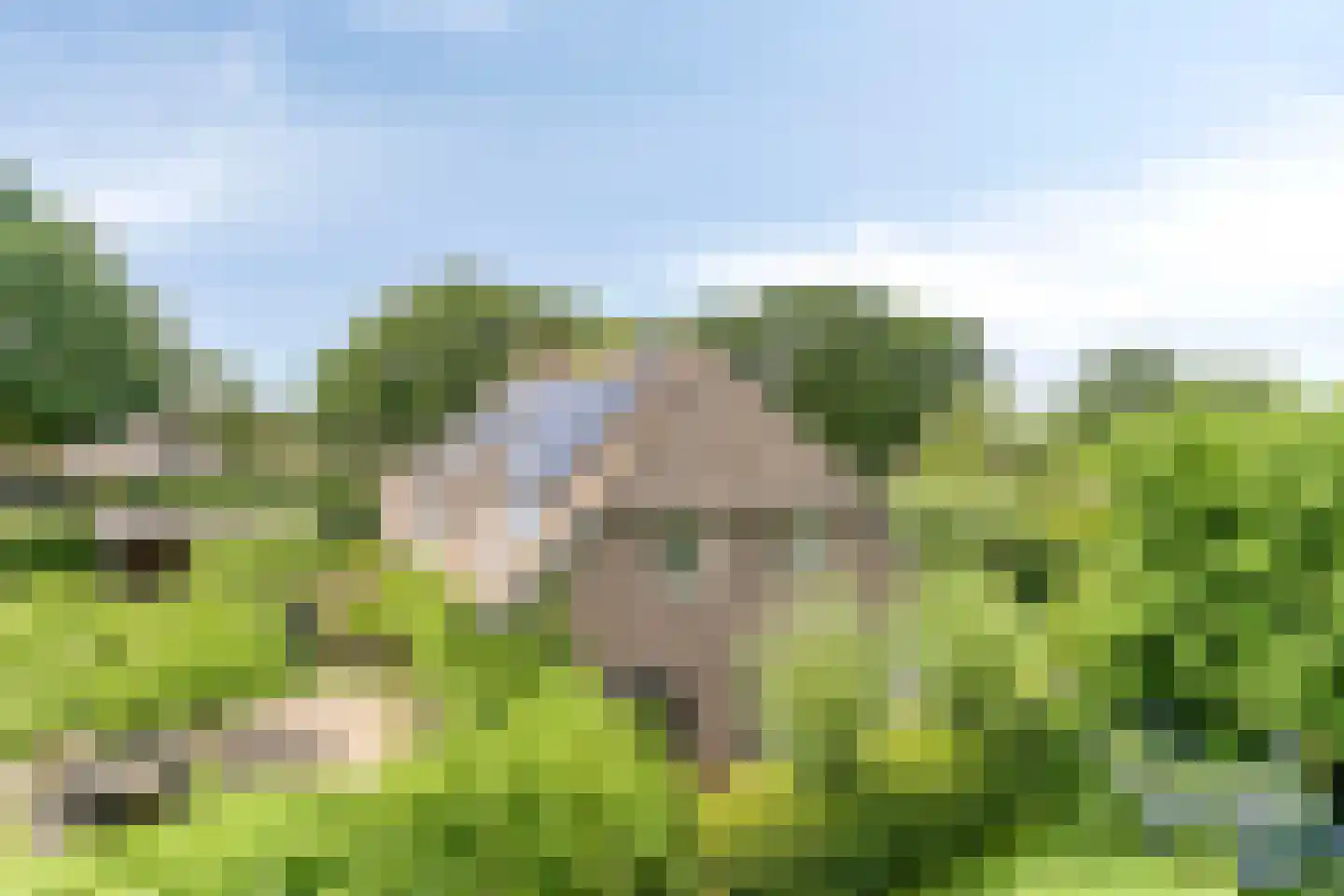 Snelleloop 1 Heesch thumbnail 81