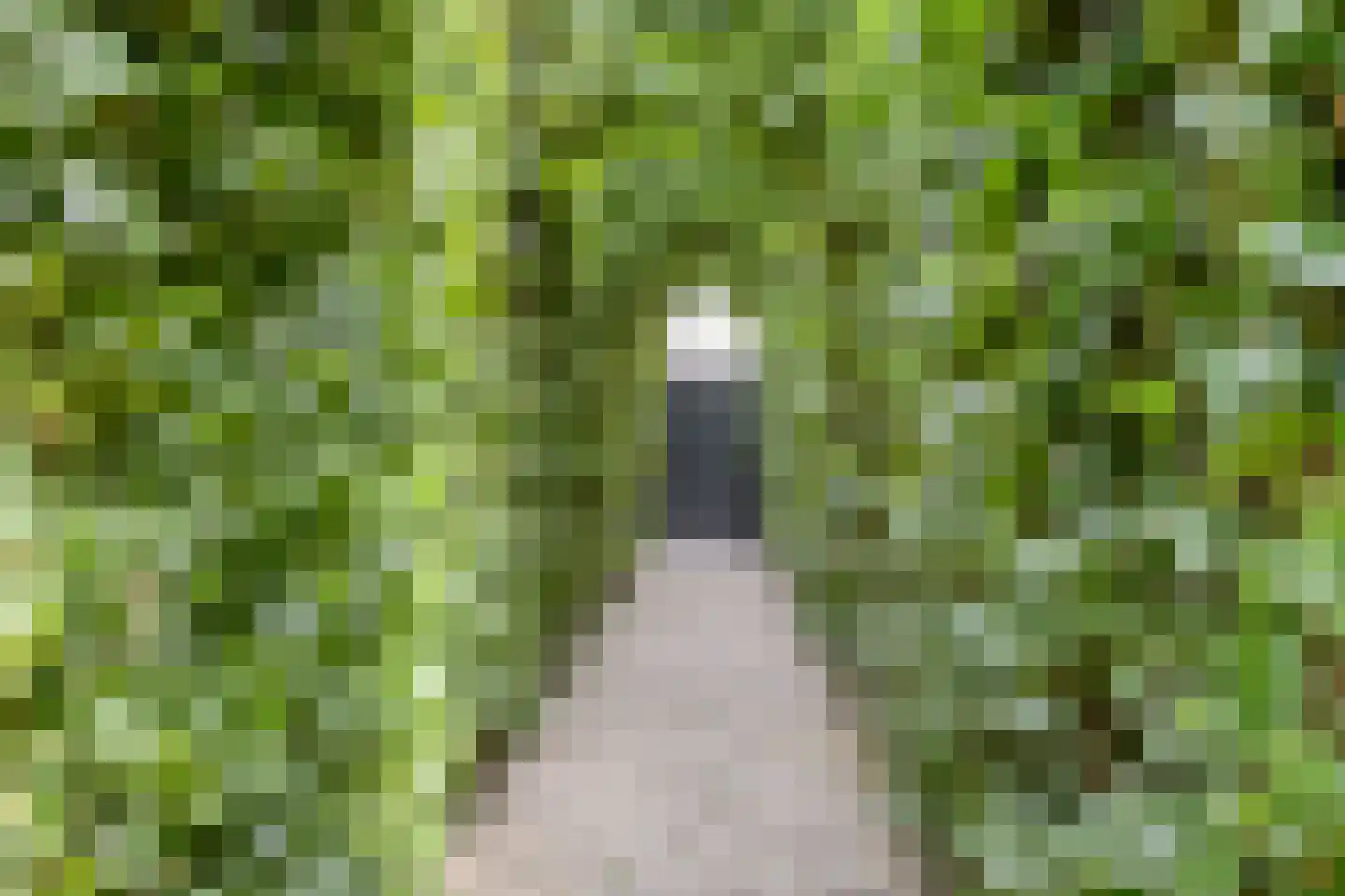 Snelleloop 1 Heesch thumbnail 84