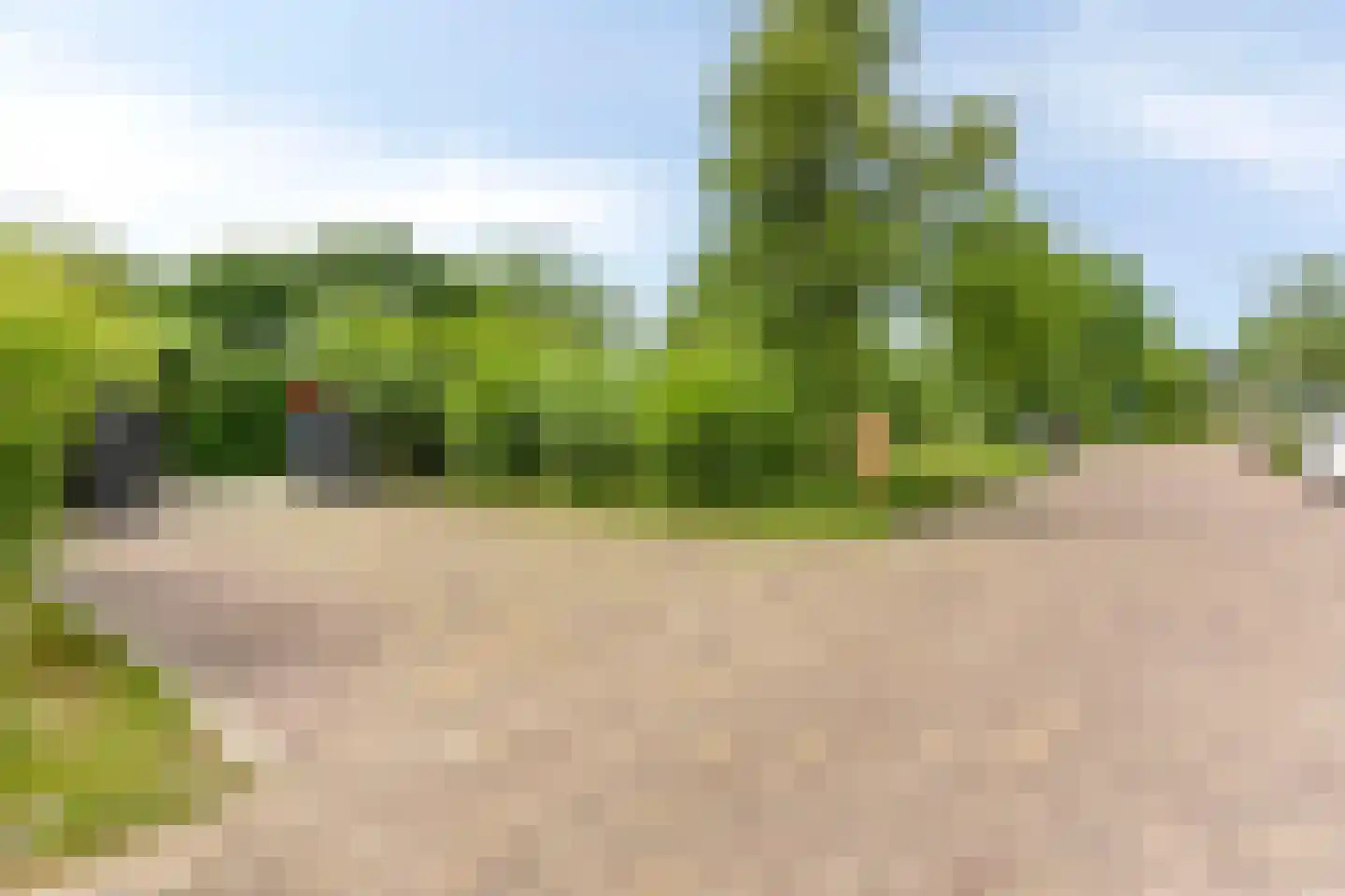 Snelleloop 1 Heesch thumbnail 86