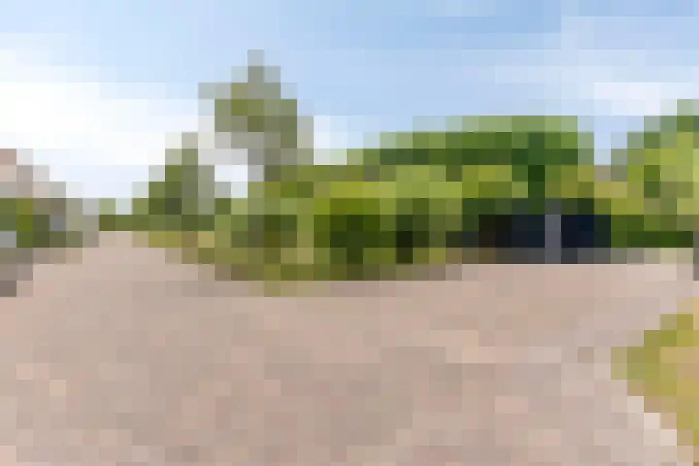 Snelleloop 1 Heesch thumbnail 87