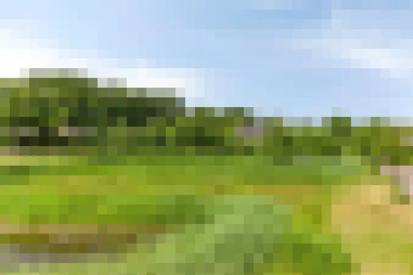 Snelleloop 1 Heesch thumbnail 88