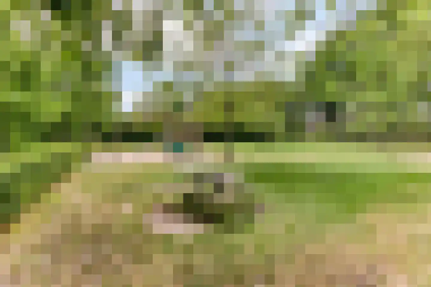Snelleloop 1 Heesch thumbnail 89