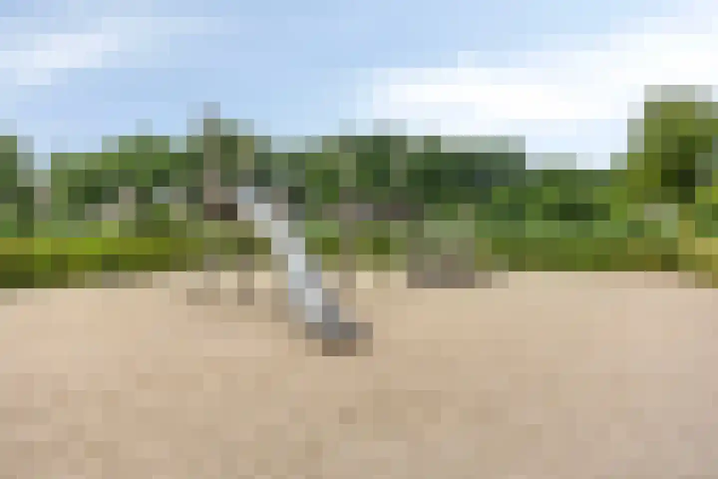 Snelleloop 1 Heesch thumbnail 90