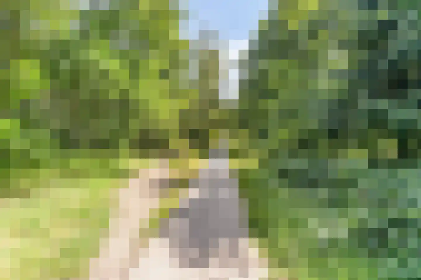 Snelleloop 1 Heesch thumbnail 91