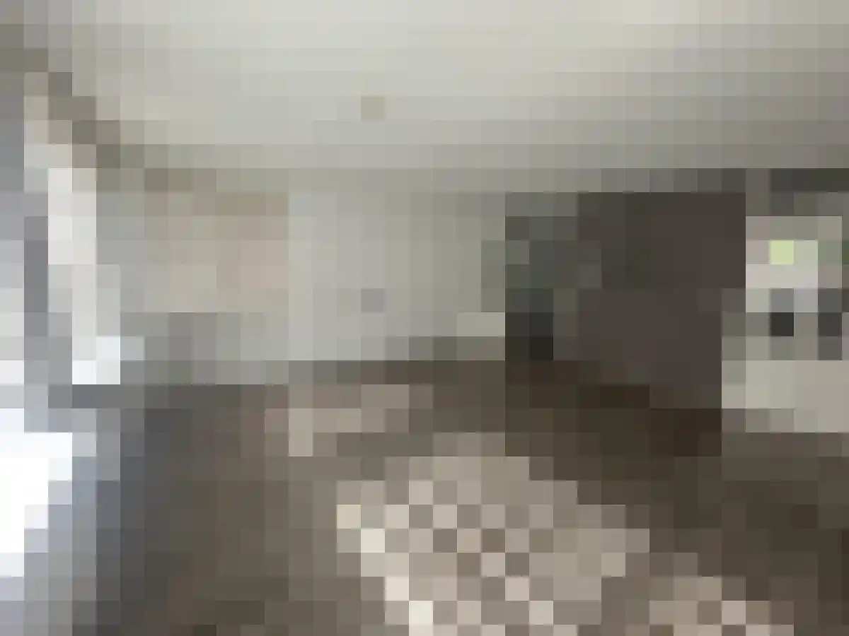 Snellemanstraat 25 Rotterdam thumbnail 5