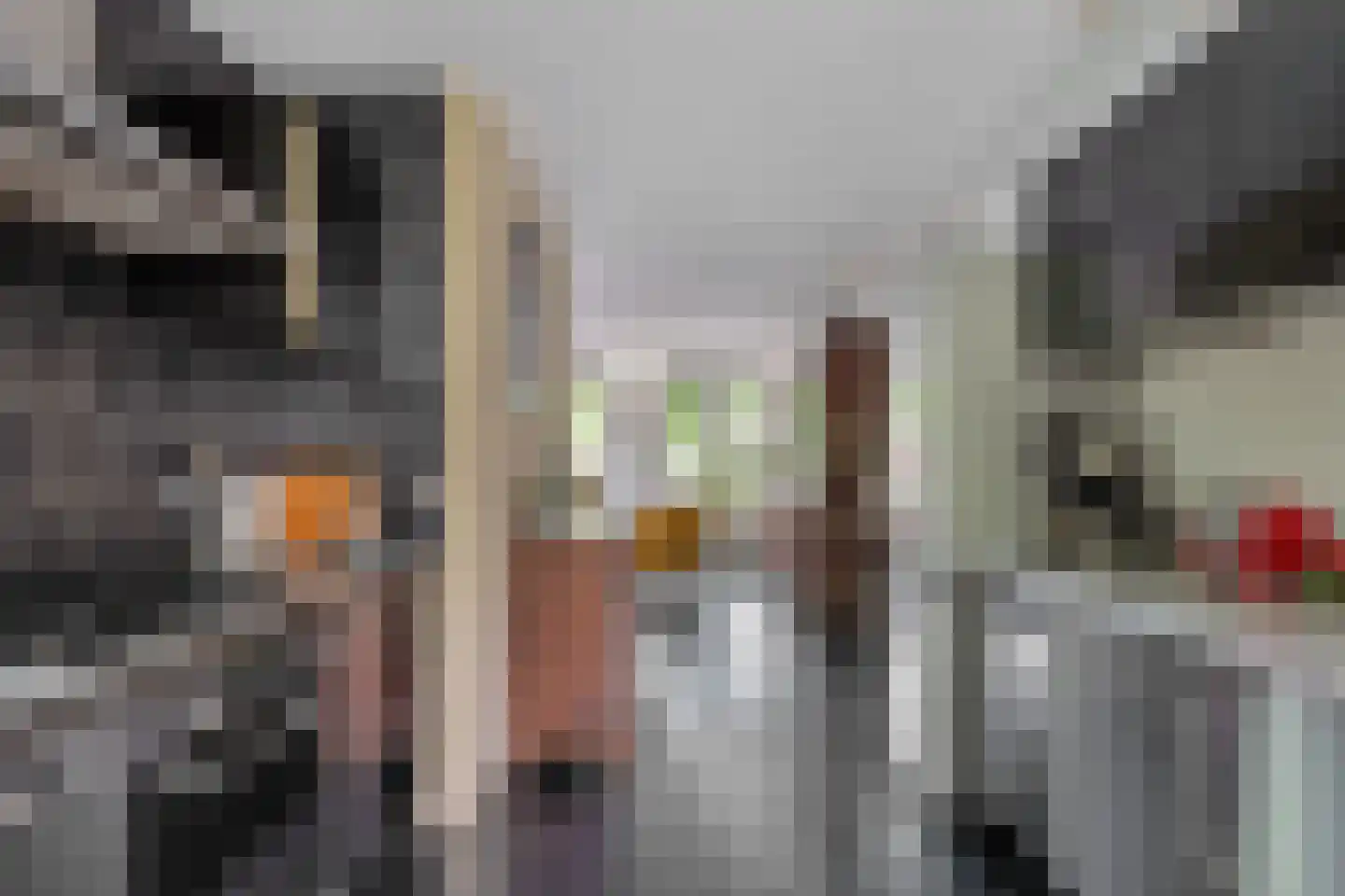 Snellemanstraat 27 B Rotterdam thumbnail 15