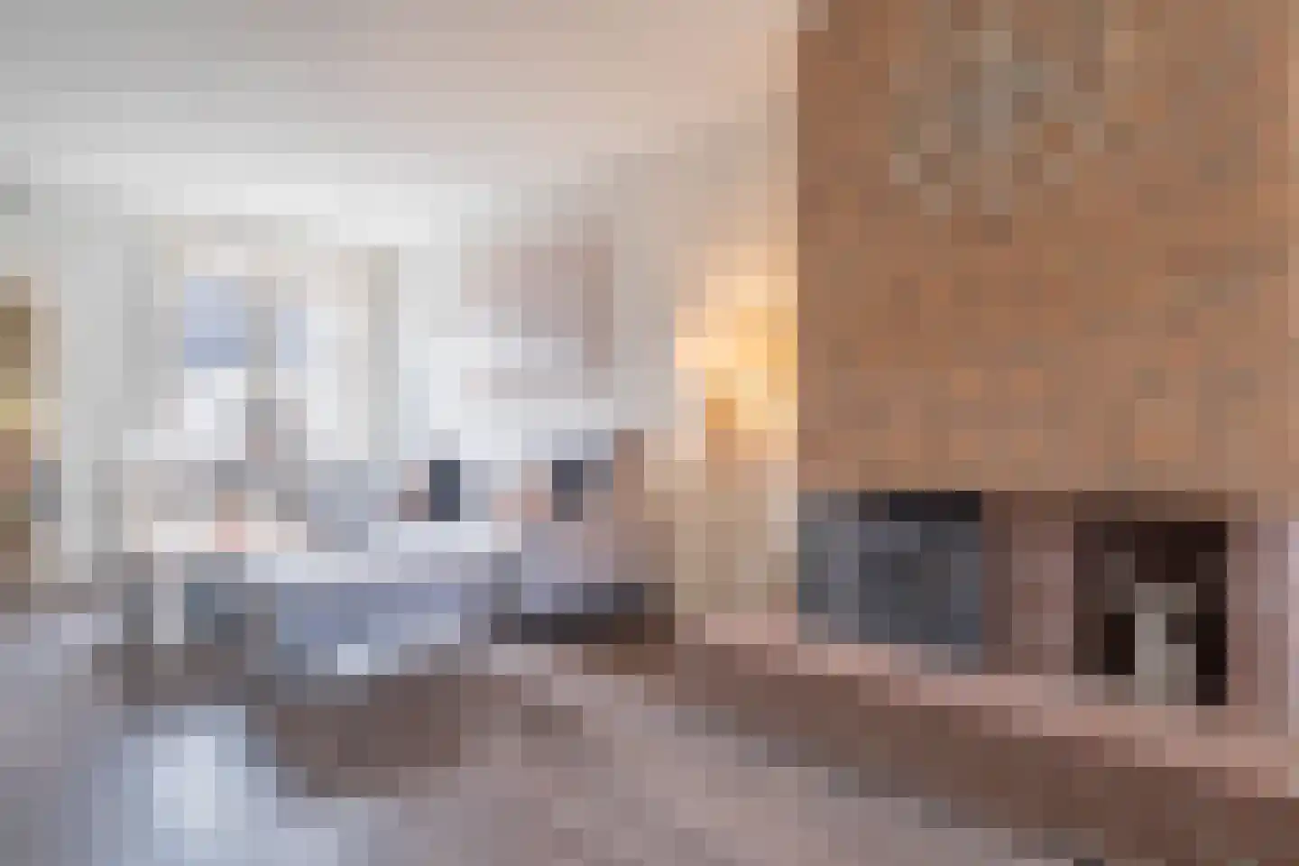 Snellemarkt 15 Kruiningen thumbnail 10