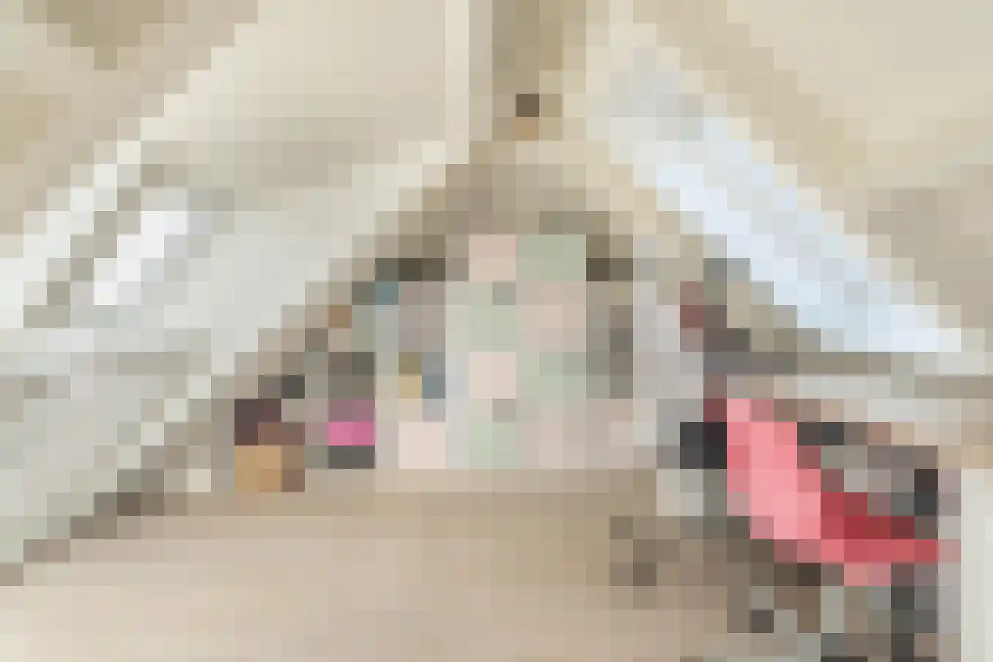 Snellemarkt 15 Kruiningen thumbnail 30