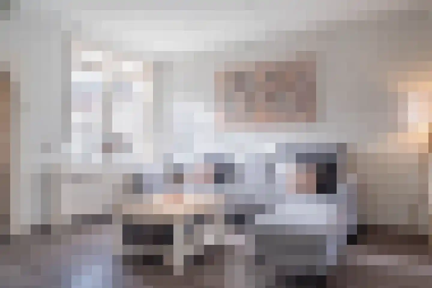 Snellemarkt 15 Kruiningen thumbnail 4
