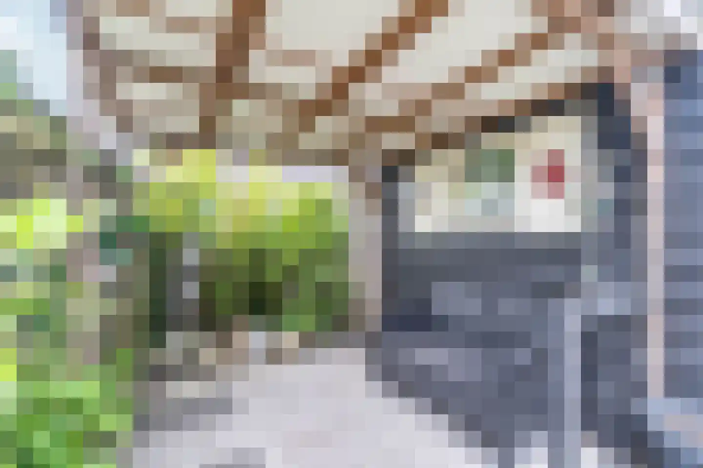 Snellemarkt 19 Kruiningen thumbnail 34