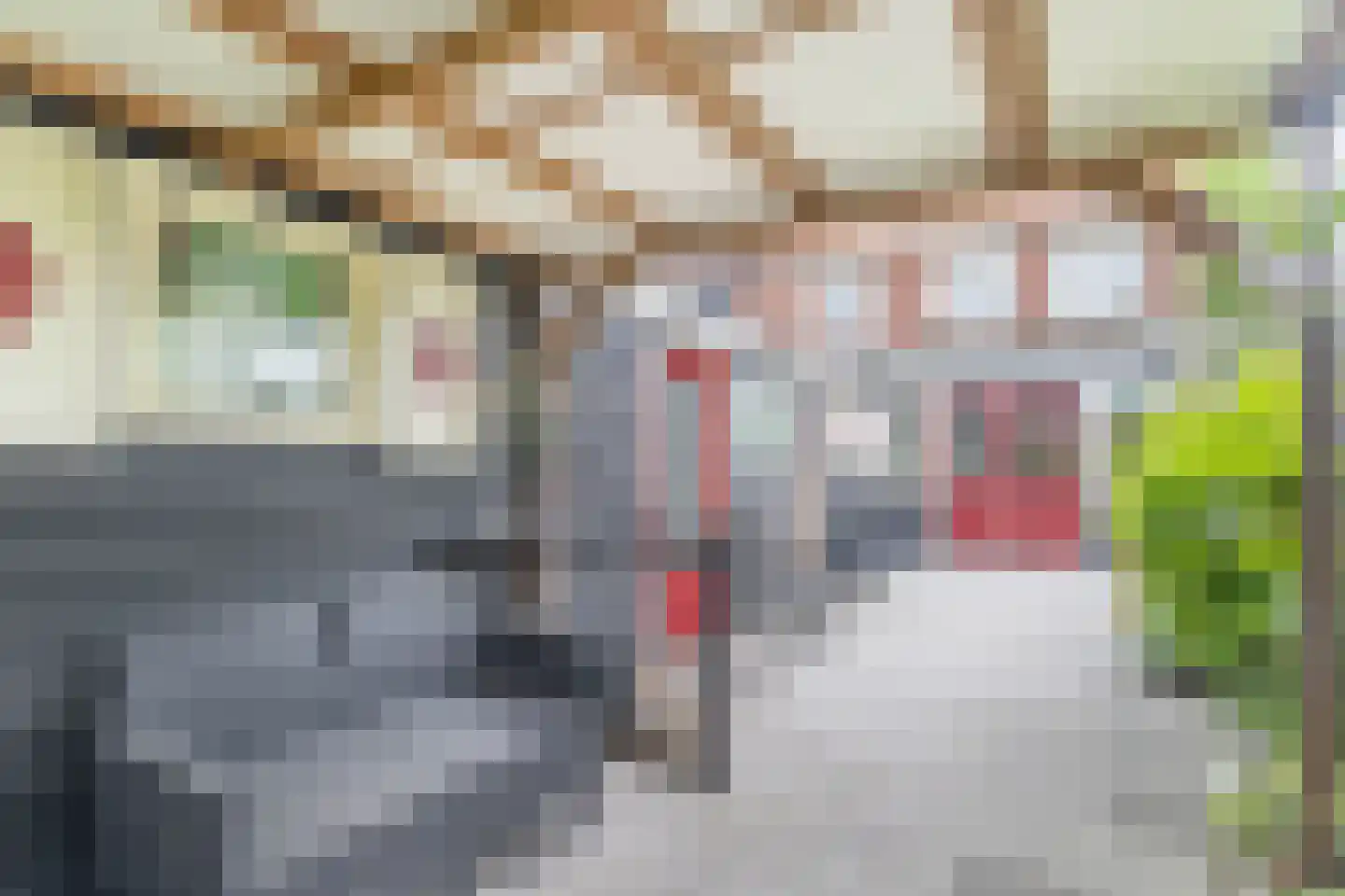 Snellemarkt 19 Kruiningen thumbnail 35