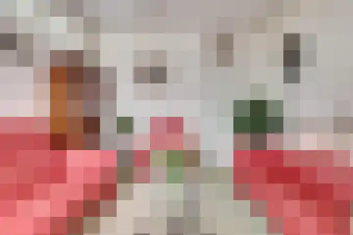 Snellemarkt 4 Kruiningen thumbnail 16