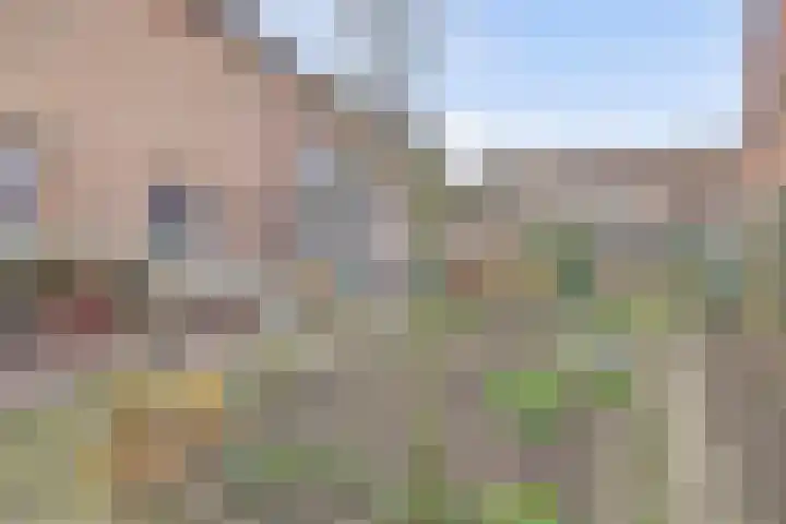Snellemarkt 4 Kruiningen thumbnail 39