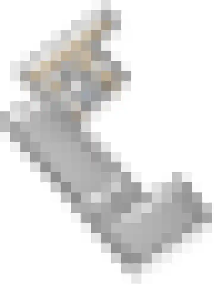Snellemarkt 4 Kruiningen thumbnail 54