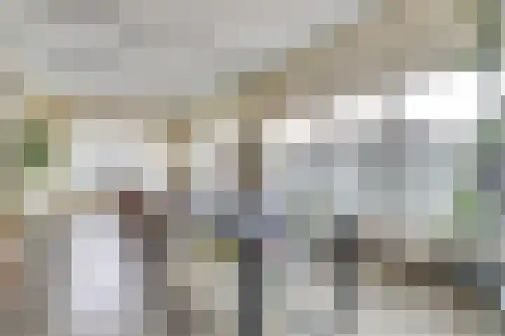 Snellemarkt 4 Kruiningen thumbnail 6