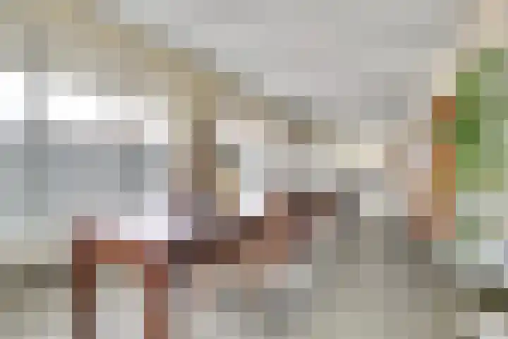 Snellemarkt 4 Kruiningen thumbnail 7
