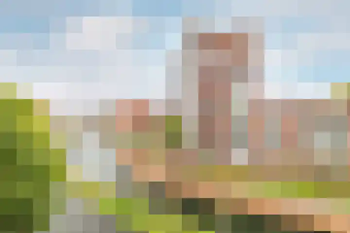 Snellenshof 14 Breda thumbnail 15
