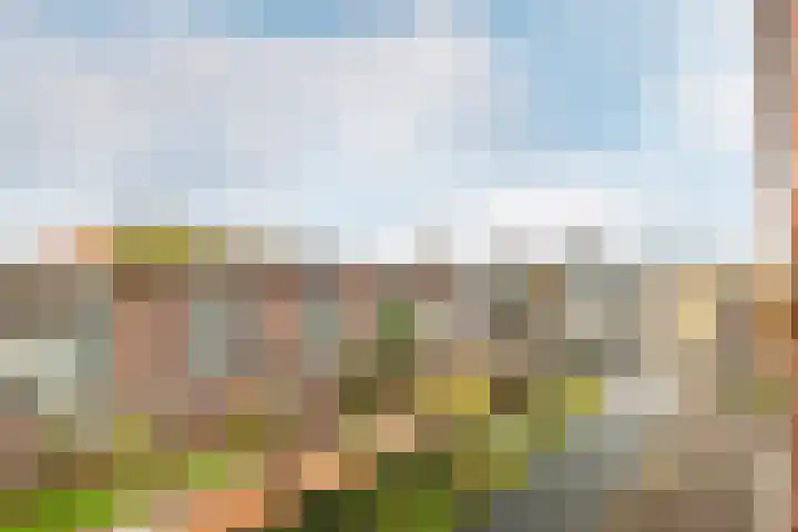 Snellenshof 14 Breda thumbnail 35
