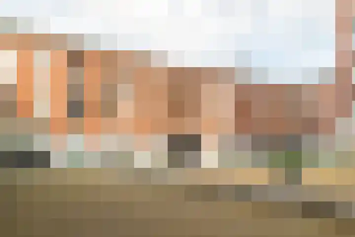 Snellenshof 14 Breda thumbnail 39