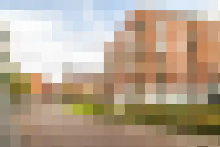 Snellenshof 14 Breda thumbnail 42