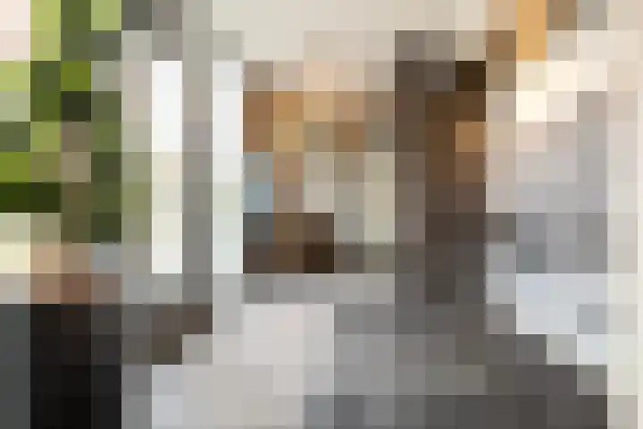 Snellenshof 14 Breda thumbnail 7