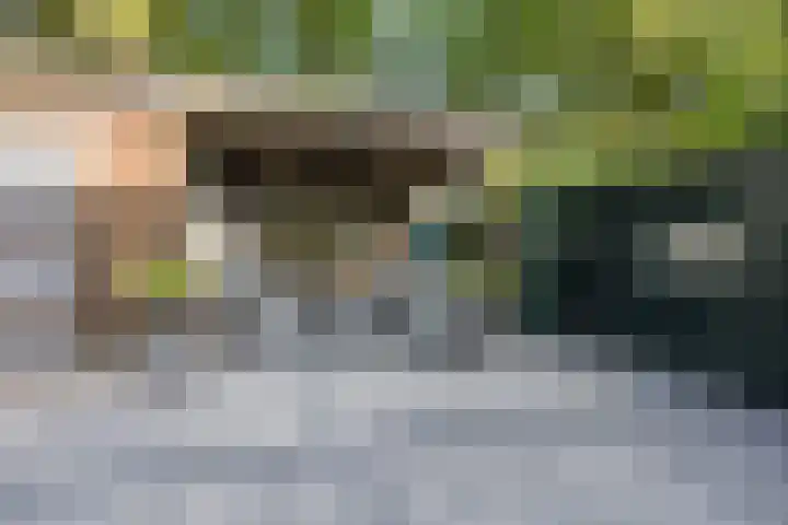 Snellenshof 15 Breda thumbnail 24
