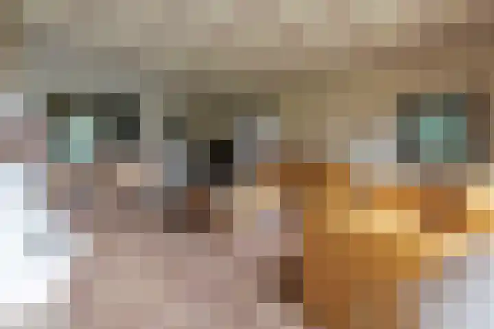 Snellenshof 15 Breda thumbnail 5