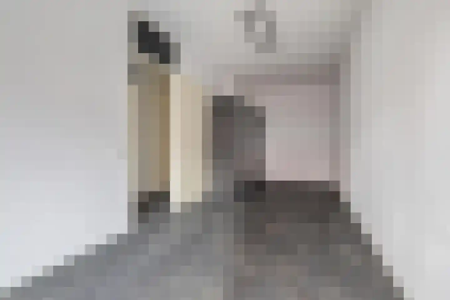 Snellenshof 2 Breda thumbnail 16