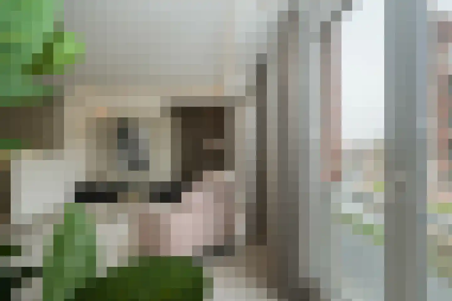 Snellenshof 23 Breda thumbnail 12