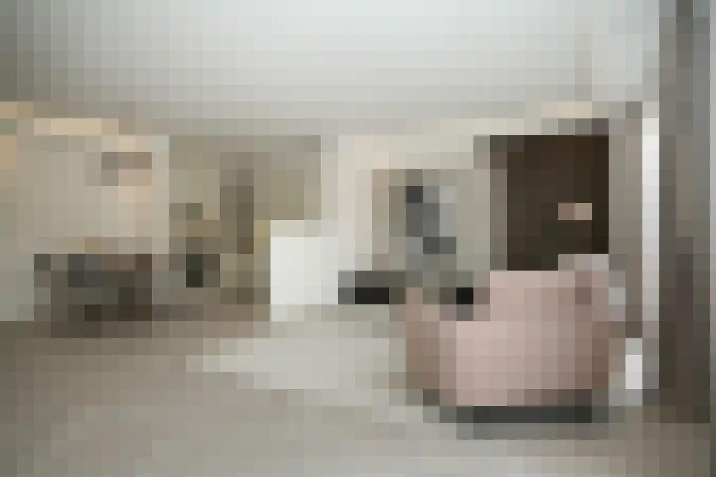 Snellenshof 23 Breda thumbnail 13