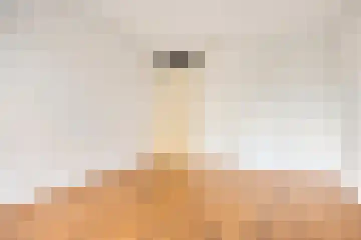 Snellenshof 28 Breda thumbnail 25