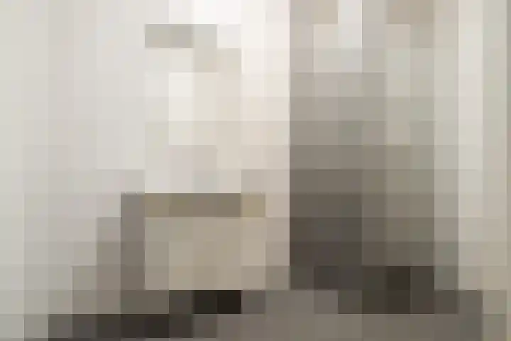 Snellenshof 45 Breda thumbnail 25