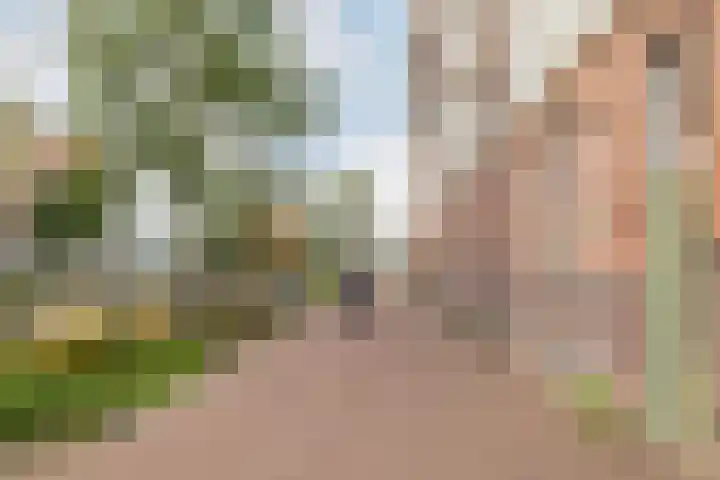 Snellenshof 45 Breda thumbnail 32