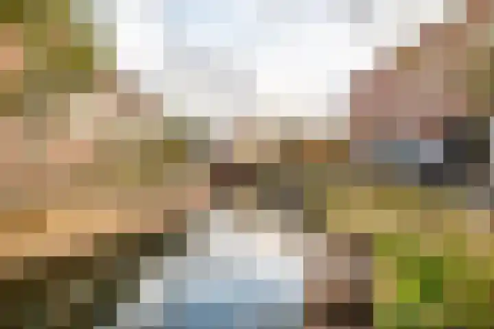 Snellenshof 45 Breda thumbnail 5