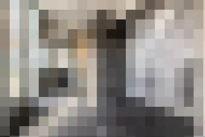 Snellenshof 49 Breda thumbnail 10