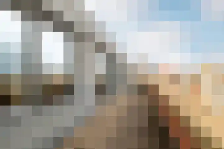 Snellenshof 49 Breda thumbnail 20