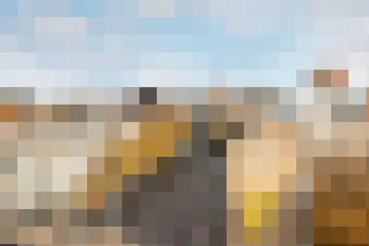 Snellenshof 49 Breda thumbnail 22