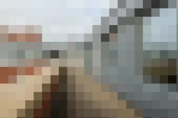 Snellenshof 49 Breda thumbnail 25