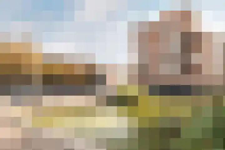 Snellenshof 49 Breda thumbnail 40