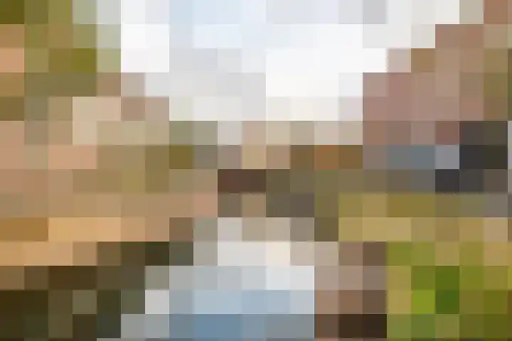 Snellenshof 49 Breda thumbnail 44