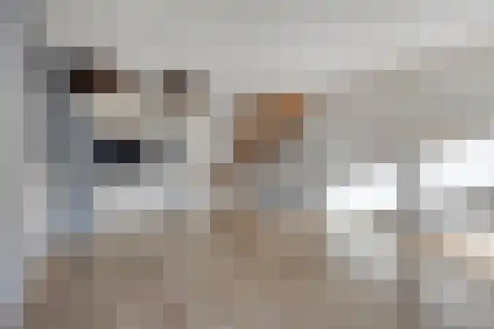 Snellenshof 5 Breda thumbnail 14