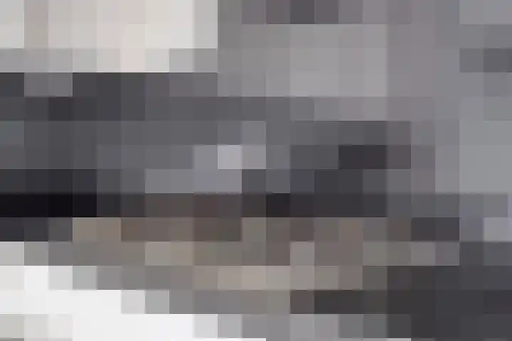 Snellenshof 5 Breda thumbnail 18